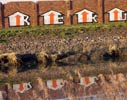 reko | belgium (17 votes)
