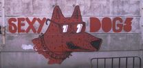 resto | red | dog | gent | belgium (55 votes)