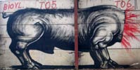 roa | belgium (26 votes)