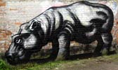 roa | belgium (14 votes)