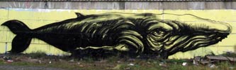 roa | whale | belgium (30 votes)