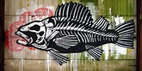 roa | fish | belgium (17 votes)