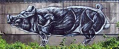 roa | pig | belgium (7 votes)