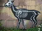 roa | belgium (13 votes)