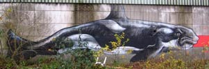roa | belgium (16 votes)