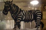 roa | belgium (25 votes)