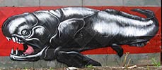 roa | belgium (13 votes)