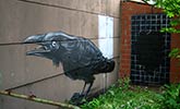 roa | bird | belgium (18 votes)