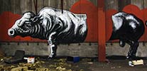 roa | belgium (7 votes)