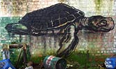 roa | belgium (16 votes)