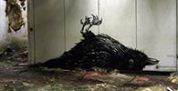 roa | bird | belgium (14 votes)