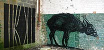roa | belgium (7 votes)