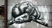roa | belgium (5 votes)