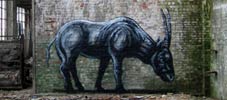 roa | belgium (9 votes)