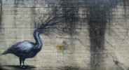 roa | bird | belgium (10 votes)