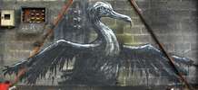 roa | bird | belgium (11 votes)
