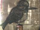roa | bird | belgium (6 votes)