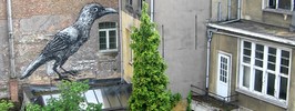 roa | bird | belgium (24 votes)