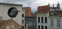 roa | bird | belgium (32 votes)