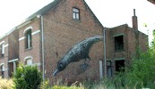 roa | bird | doel | belgium (8 votes)