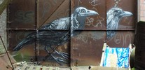 roa | bird | belgium (11 votes)