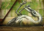 roa | bird | belgium (16 votes)