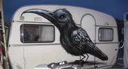 roa | bird | caravan | trailer | night | belgium (28 votes)