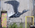 roa | bird | g-b | belgium (17 votes)