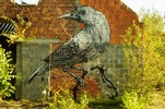 roa | bird | gent | belgium (15 votes)