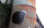 roa | bird | belgium (11 votes)