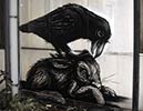 roa | bird | rabbit | belgium (10 votes)