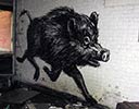 roa | boar | belgium (6 votes)