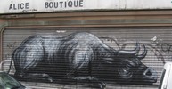 roa | afiler | bruxelles | shutters | belgium (25 votes)