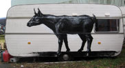 roa | caravan | belgium (9 votes)