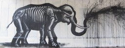 roa | elephant | drips | black | belgium (57 votes)