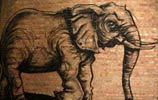 roa | elephant | belgium (19 votes)