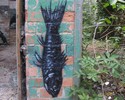 roa | fish | belgium (7 votes)