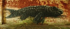 roa | fish | gent | belgium (13 votes)