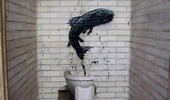 roa | fish | w-c | belgium (33 votes)