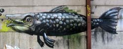roa | fish | belgium (67 votes)