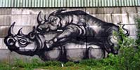 roa | gent | belgium | rhinoceros (13 votes)