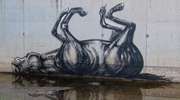 roa | horse | belgium (15 votes)