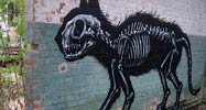 roa | belgium (18 votes)