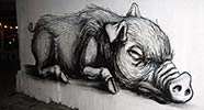 roa | pig | belgium (10 votes)