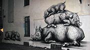 roa | pig | belgium (23 votes)