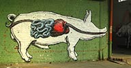 roa | pig | belgium (20 votes)