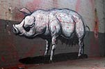 roa | pig | belgium (13 votes)