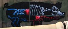 roa | pig | barcelona (29 votes)