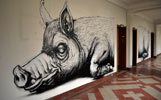 roa | pig | bruxelles | belgium (21 votes)