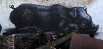 roa | pig | belgium (8 votes)